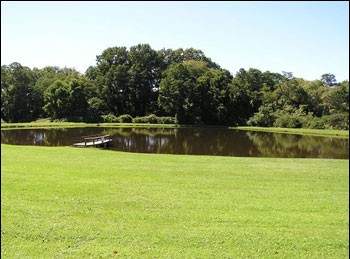 Lakeside View with Dock